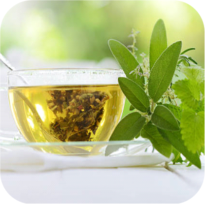 Green tea extract (with caffeine and L-theanine)