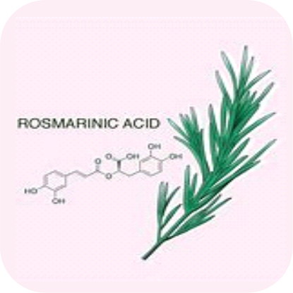 Rosmarinic Acid Maca