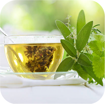 Green-tea-extract-with-caffeine-and-L-theanine.png