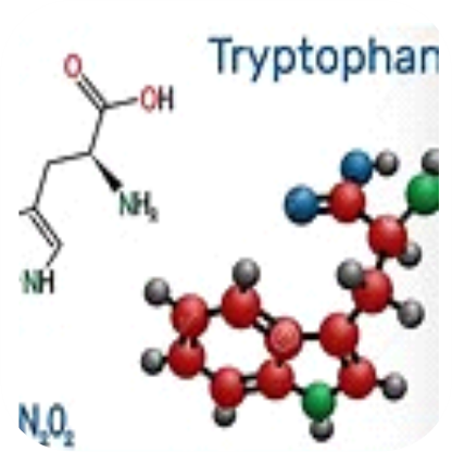 Tryptophan.png